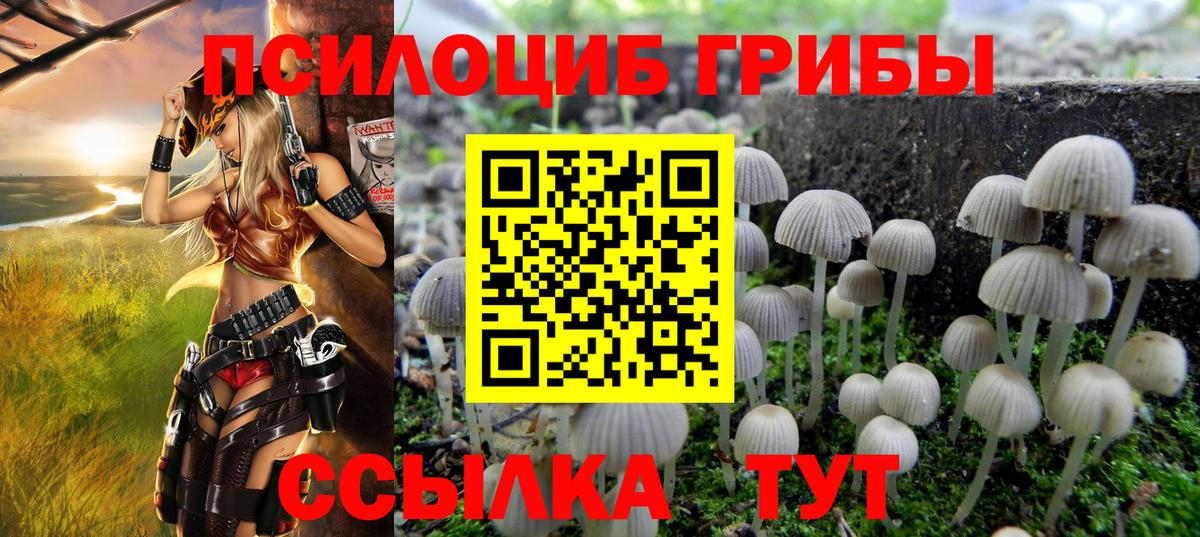 Галлюциногенные грибы прущие грибы  Амурск  Галлюциногенные грибы MAGIC MUSHROOMS 