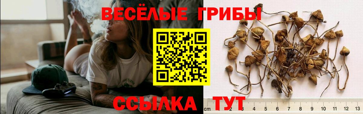 Псилоцибиновые грибы мухоморы  Вход с VPN  Амурск 